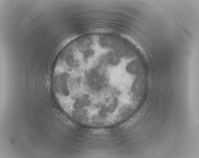 X0000115581025200912221045