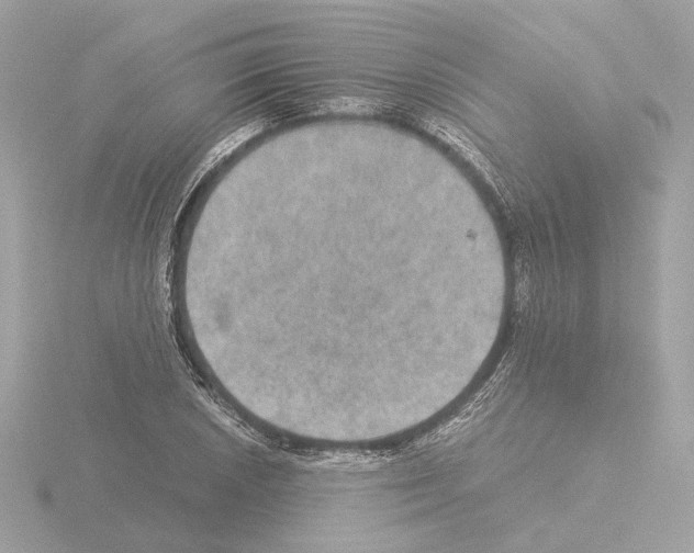 X0000115581026200912221045