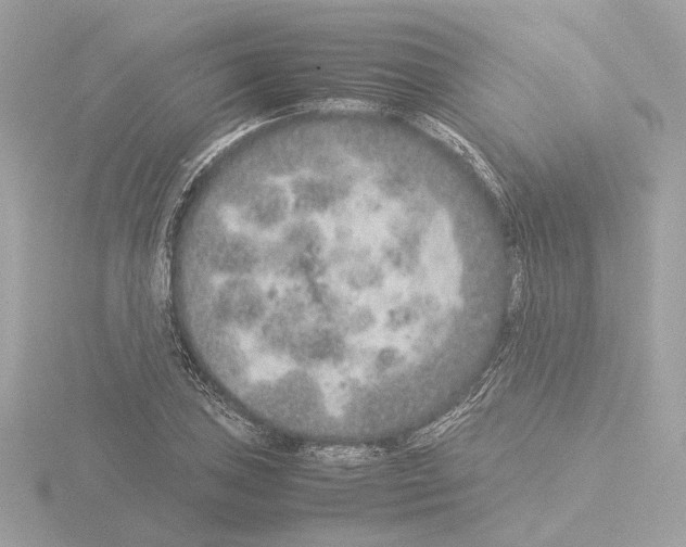 X0000115581027200912221045