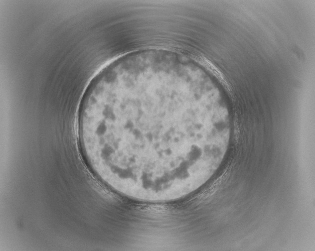 X0000115581028200912221045