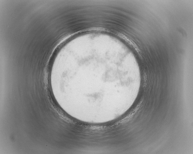 X0000115581029200912221045