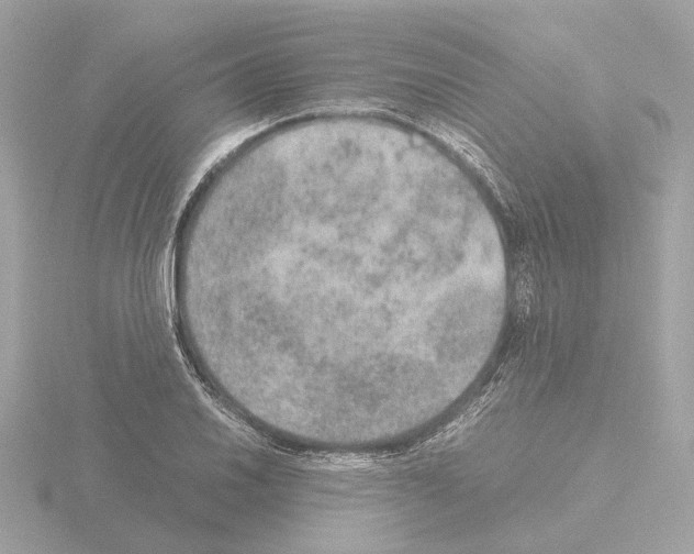 X0000115581030200912221045