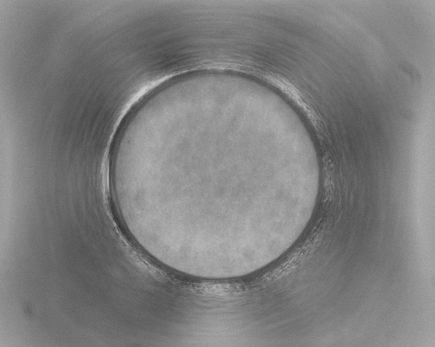 X0000115581032200912221045