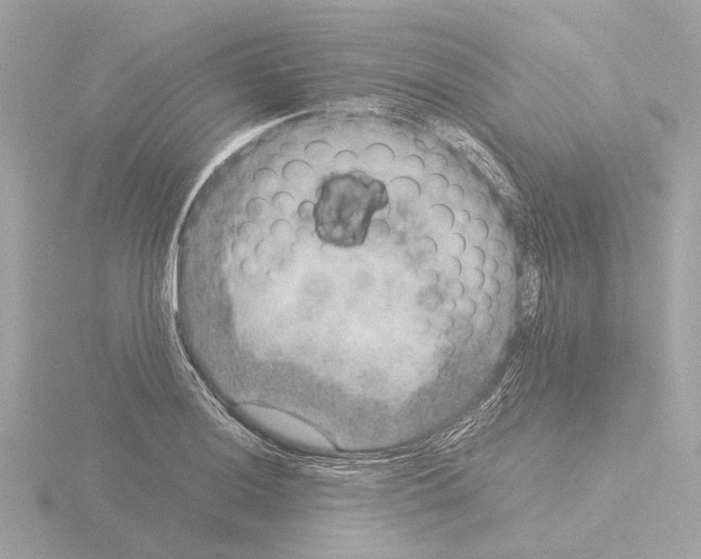 X0000115581036200912221045