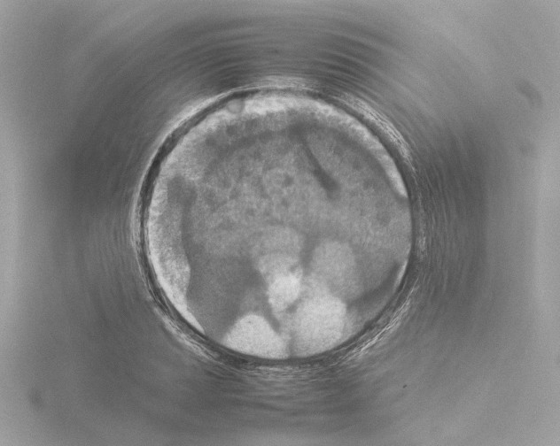 X0000115581037200912221045