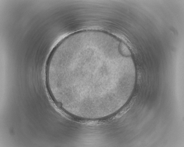 X0000115581038200912221045