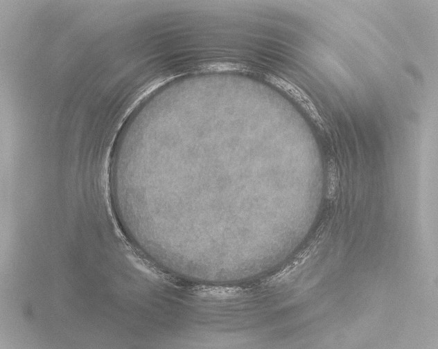 X0000115581039200912221045