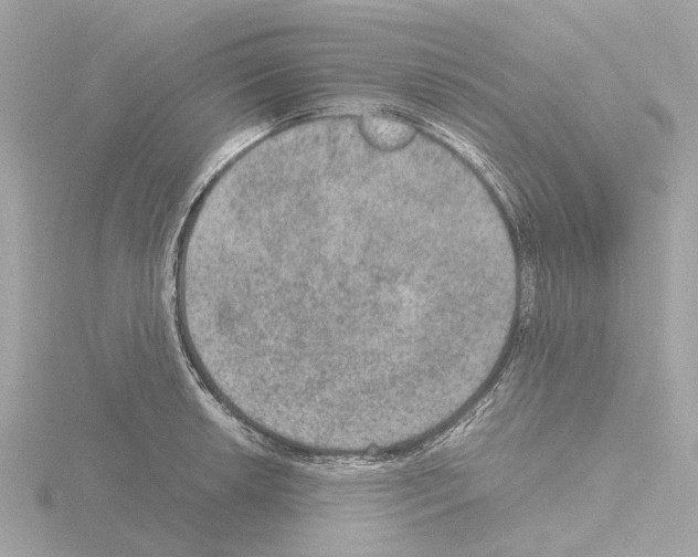 X0000115581042200912221045