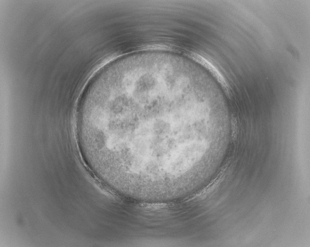 X0000115581043200912221045