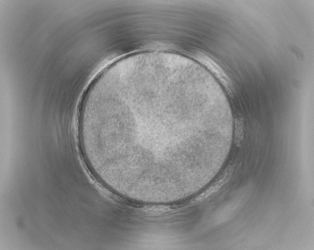 X0000115581046200912221045