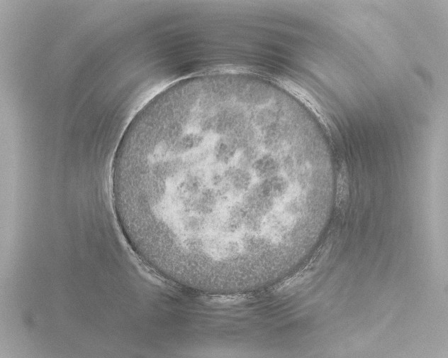 X0000115581047200912221045