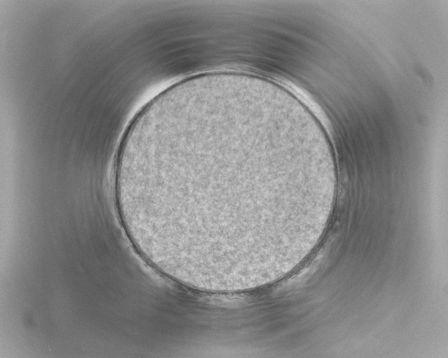 X0000115581053200912221045