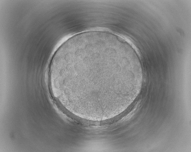 X0000115581054200912221045