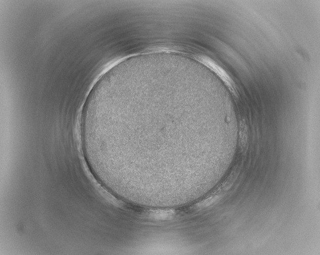 X0000115581055200912221045