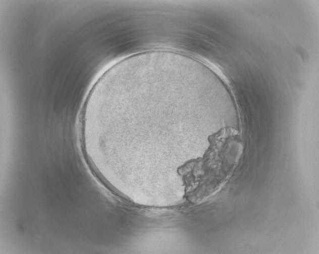 X0000115581056200912221045