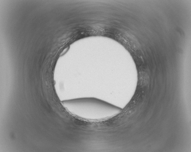 X0000115581057200912221044