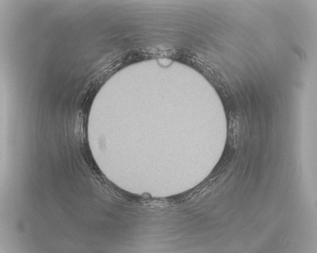 X0000115581058200912221044