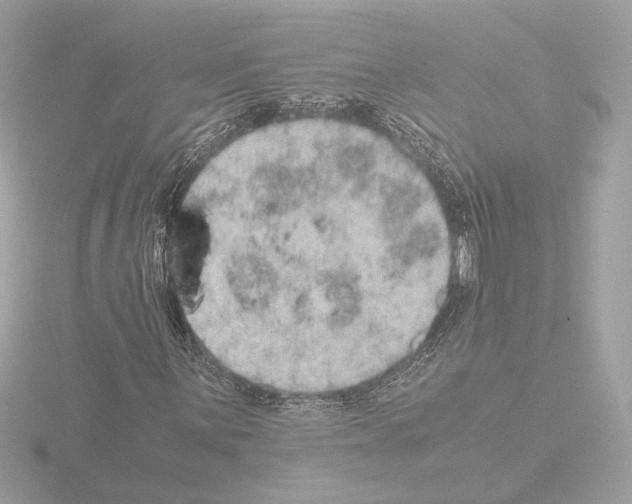 X0000115581059200912221044