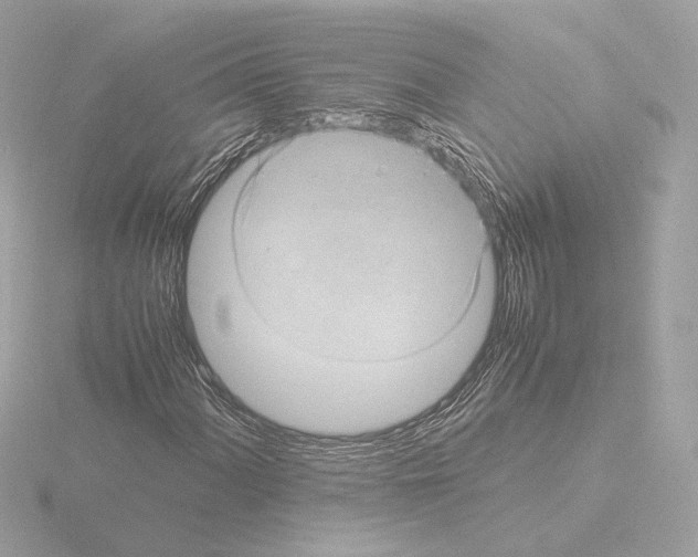 X0000115581060200912221044