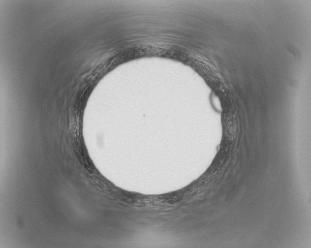 X0000115581061200912221044