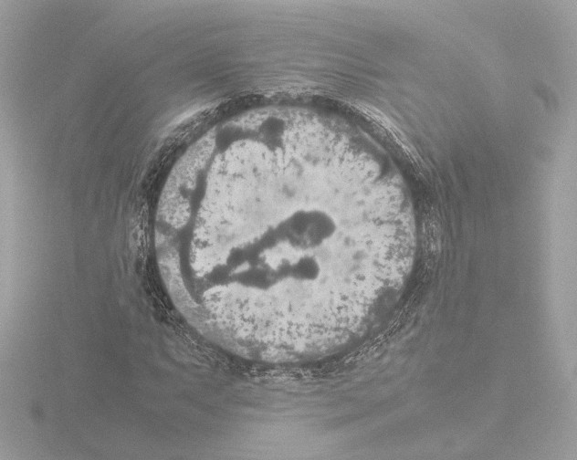 X0000115581063200912221044