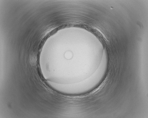 X0000115581065200912221044