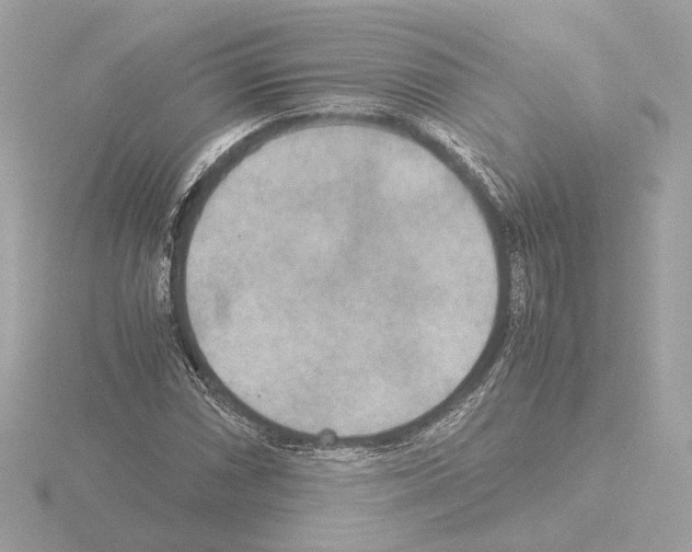 X0000115581066200912221044