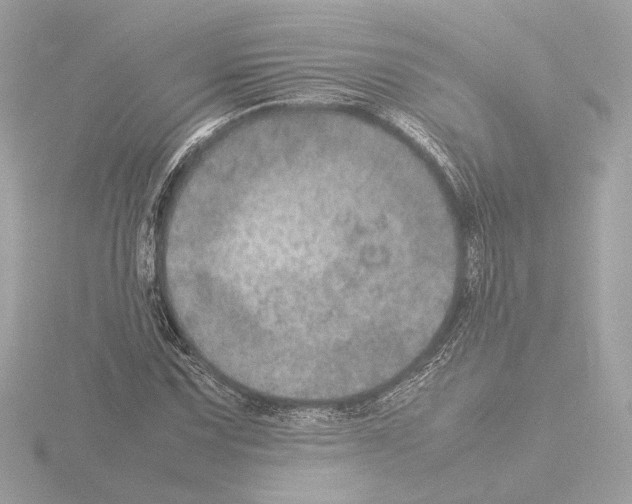 X0000115581067200912221044