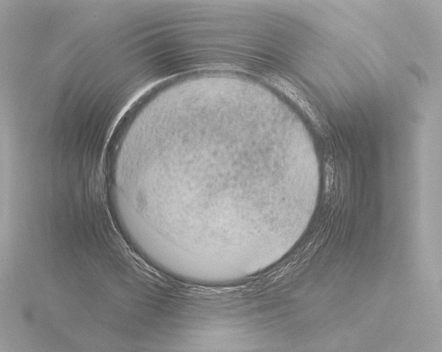 X0000115581068200912221044