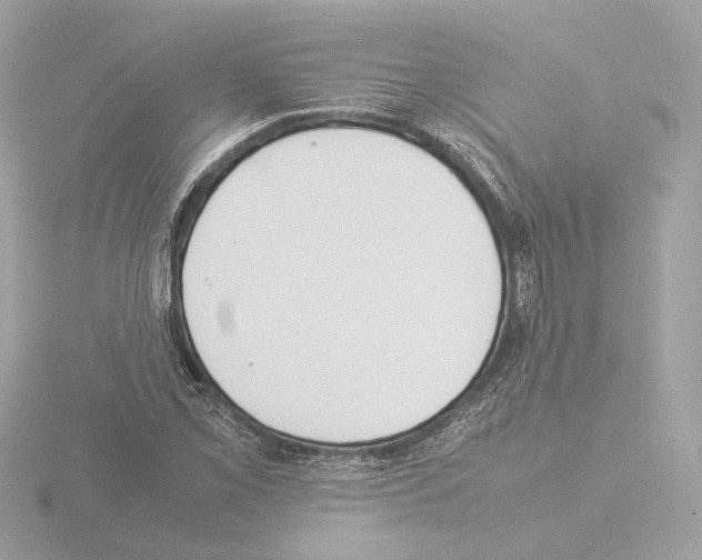 X0000115581069200912221044