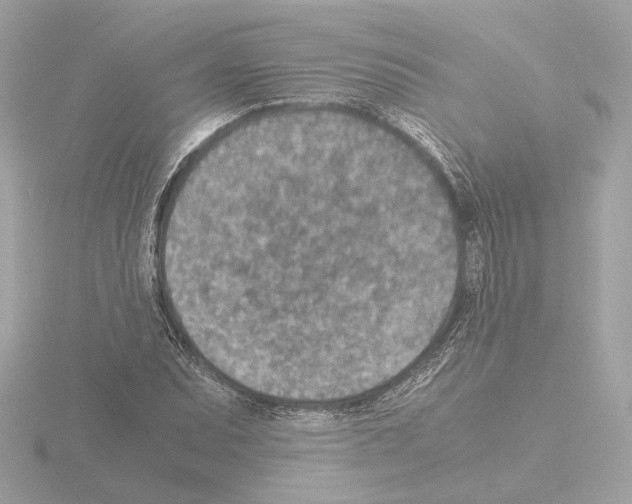 X0000115581071200912221044