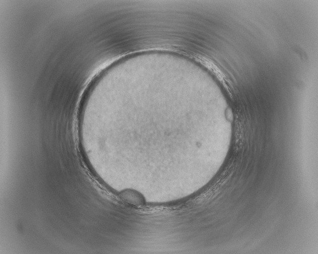 X0000115581072200912221044