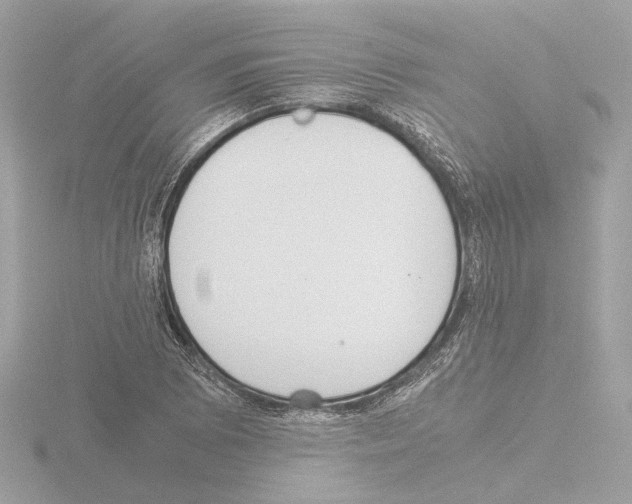 X0000115581073200912221044