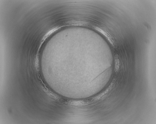 X0000115581074200912221044