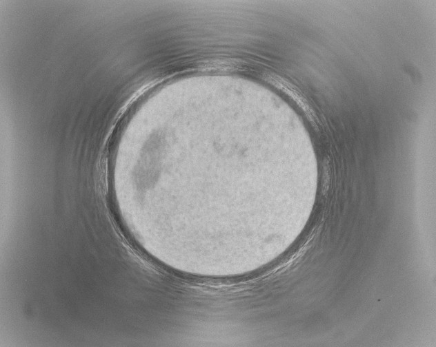 X0000115581075200912221044