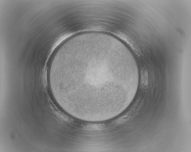 X0000115581078200912221044