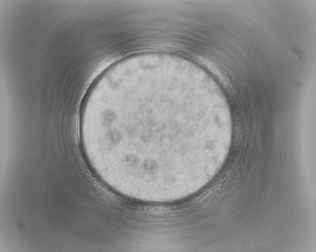 X0000115581079200912221044