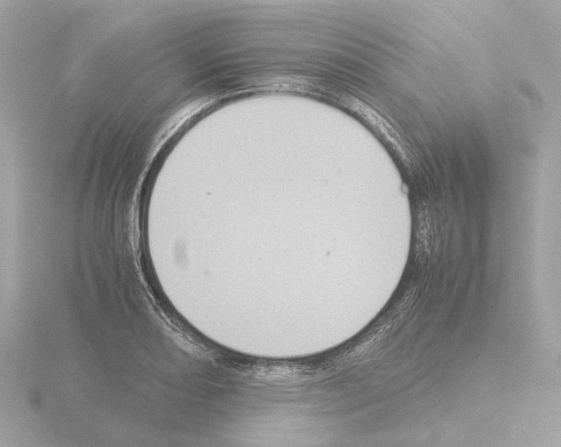 X0000115581082200912221044