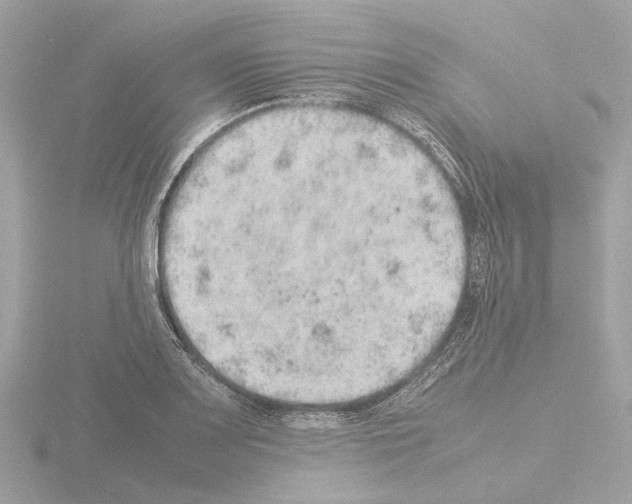 X0000115581083200912221044