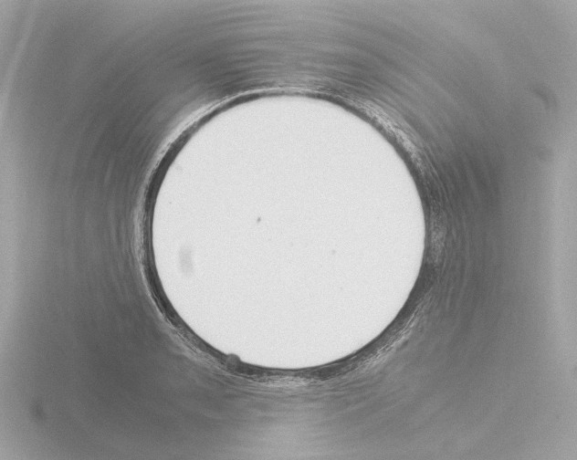 X0000115581085200912221044