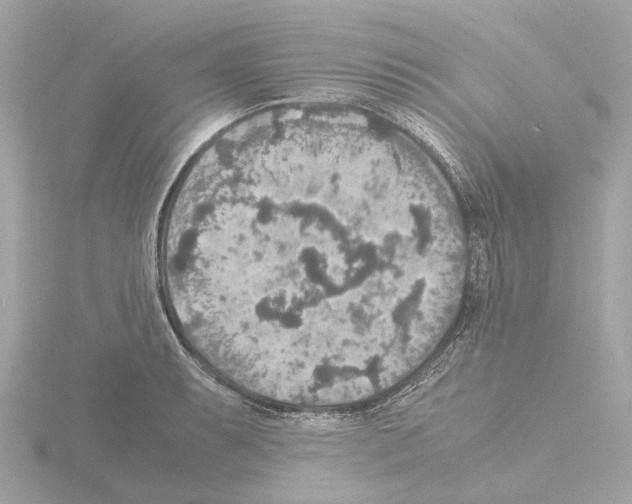 X0000115581087200912221044