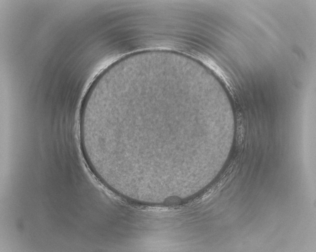 X0000115581088200912221044