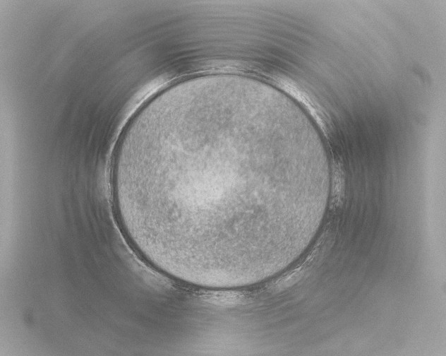 X0000115581090200912221044