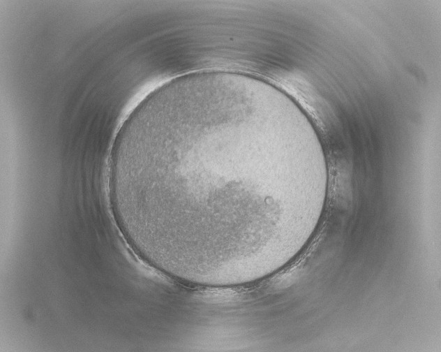 X0000115581094200912221044