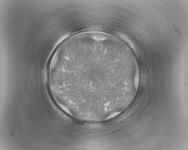 X0000115581095200912221044