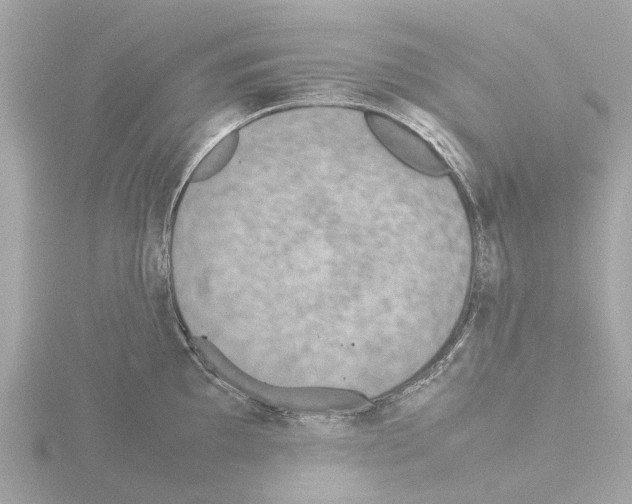 X0000115581097200912221044