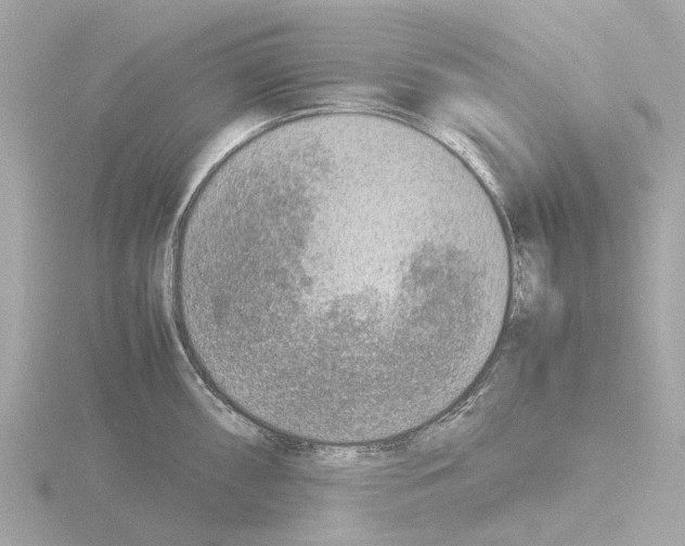 X0000115581098200912221044