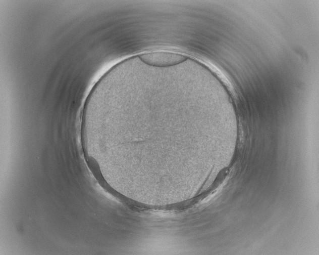 X0000115581102200912221044