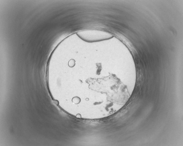 X0000115581103200912221044