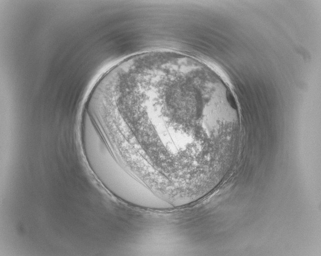 X0000115581104200912221044